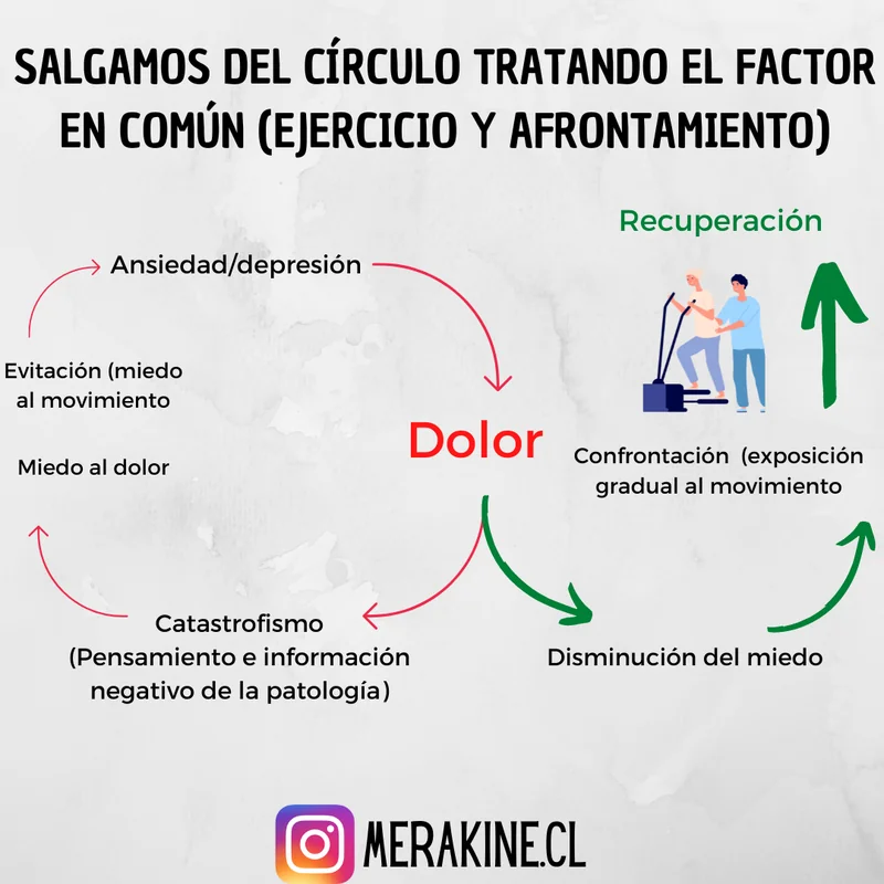 Diagrama del ciclo de dolor y estrategias de afrontamiento y movimiento gradual